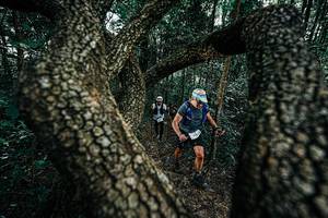 BIB: 
                            <button type="button" onclick="openModal(25392538)" class="btn btn-primary btn-sm float-right btn-popup" data-toggle="modal" data-target=".modal-high-quality">
                        <i class="fas fa-shopping-cart"></i> Add to Cart
                    </button>
                                            <button type="button" onclick="isThisMe(25392538, true)" class="btn btn-success btn-sm float-right btn-popup btn-isme hidden" data-toggle="tooltip" data-placement="bottom" title="นี่คือรูปของคุณใช่ไหม คลิกที่นี่เพื่อเอาเข้าอัลบั้ม">
                        <i class="fas fa-plus"></i> Add to album
                    </button>
                    <button type="button" onclick="isThisMe(25392538, false)" class="btn btn-warning btn-sm float-right btn-popup btn-isnotme hidden">
                        <i class="fas fa-ban"></i> Remove from album
                    </button>